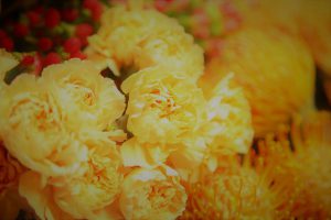 Abonnement Floral Lausanne