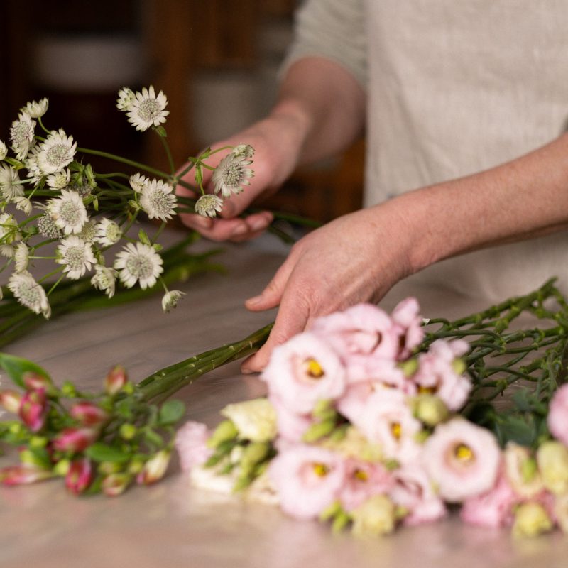 web-ambiance-cagnafleurs-21